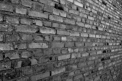 The wall_4976620163_l.jpg